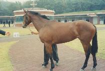 ī�ٵ� (KABADDI) ����