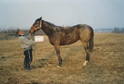 �̷��� ����