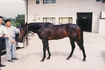 ��Ű���� ����