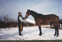 �ϴð��� (HANEULGWA TTANG) ����