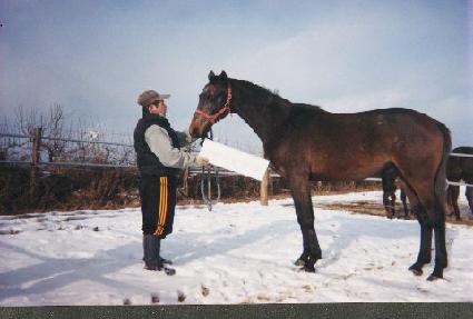 �ϴð��� ����