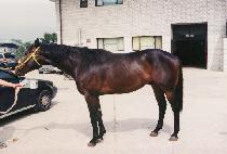 �¸����� (SEUNGNI JILJU) ����