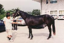 ������� (BOHYEON DAESEUNG) ����