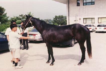 ������� ����