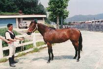 ���޷� (MAKDALLYEO) ����