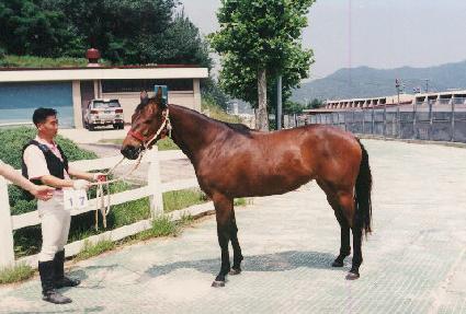 ���޷� ����