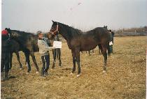 �¹鼳�� (TAEBAEK SEOLGYEONG) ����