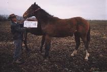 ���� (JANGCHUK) ����