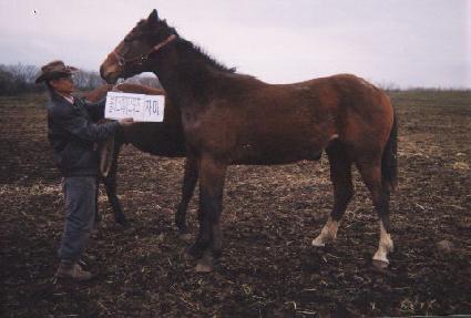 ���� ����