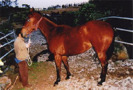 �ѷ� ����