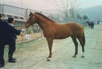 �ʿ췮 (CHOURYANG) ����