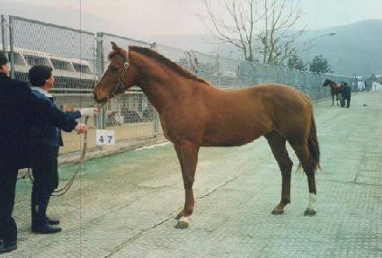 �ʿ췮 ����