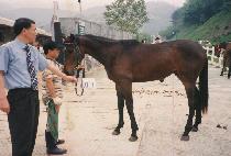 ������ (MAGIC GIRL) ����