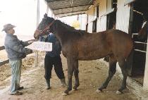 ���� (KONGJWI) ����