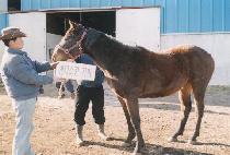 ��ۿ츮 (GIPPEUN URI) ����