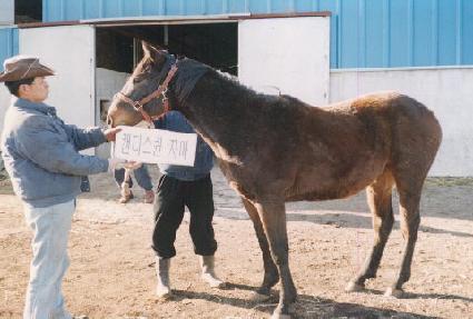 ��ۿ츮 ����