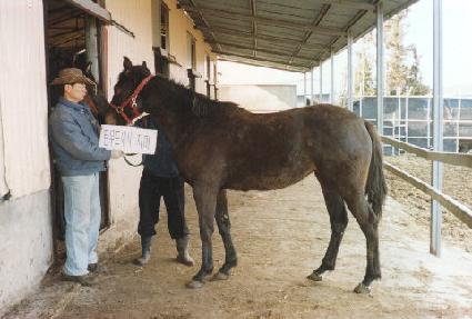 ���� ����