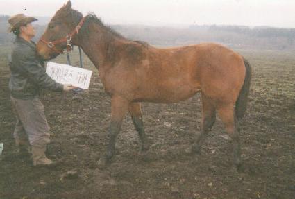 ��Ÿ��� ����