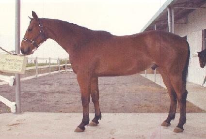 �Ի� ����