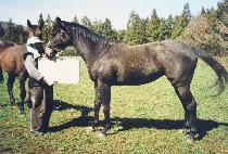 �ϴú� (HANEULBYEOK) ����