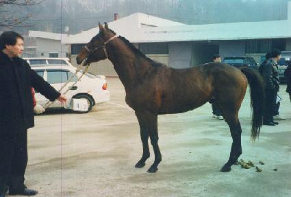 ��ȣũ ����