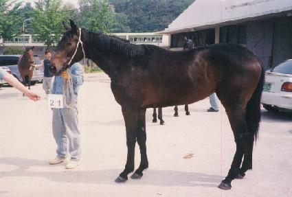 ������� ����