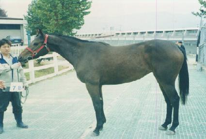 ���� ����