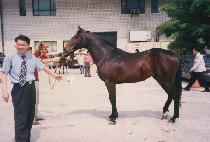 ŵ�·��� (KEEP ON RUNNING) ����