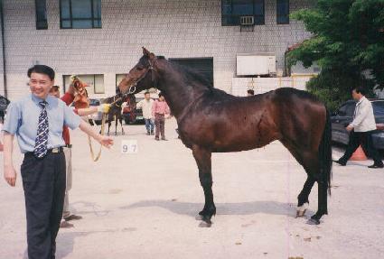 ŵ�·��� ����