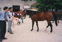 õ������ (CHEONJI JEPAE) ����