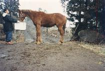 �����ܰ� (BEOPBO DANGYEONG) ����