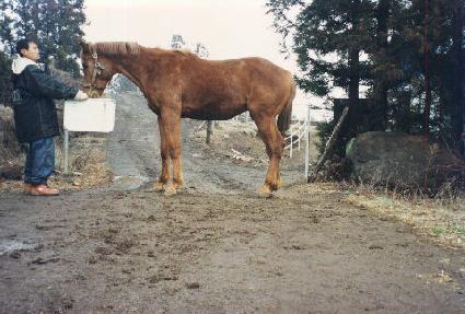 �����ܰ� ����