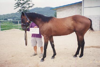 ���Ľ��� ����