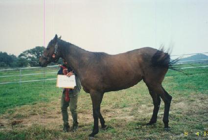 õ���ǼҸ� ����