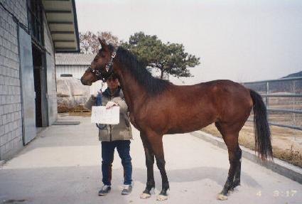 ������ ����