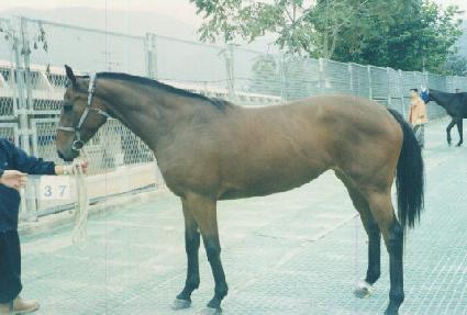 ������ ����