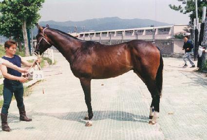 �ʰ��� ����