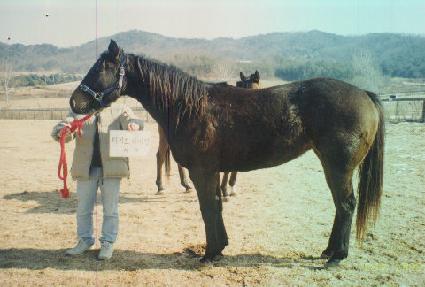 ���ߺ��� ����