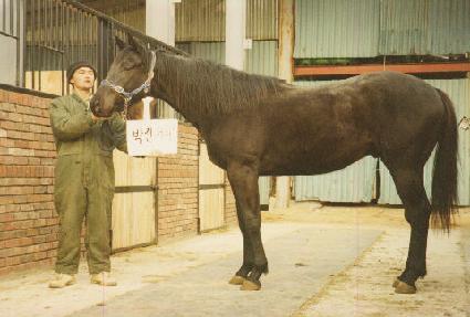 ���Ǿƴ� ����