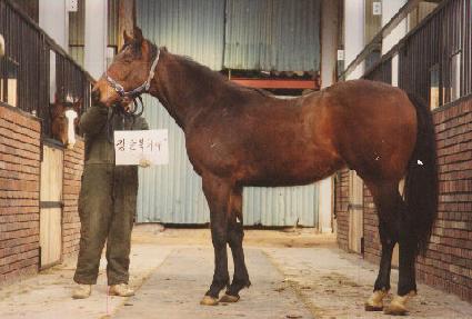 ����ŷ ����