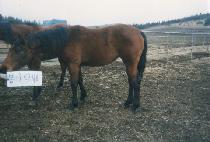 ���� (NAMGYEONG) ����