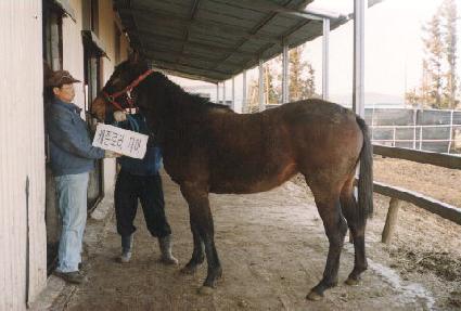 ¯���� ����