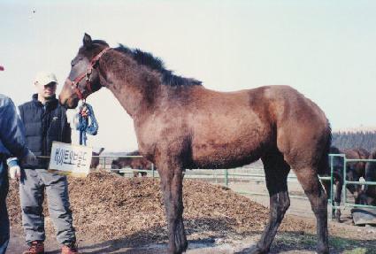 ���ذ�� ����