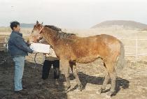 ������ (EUNDORI) ����