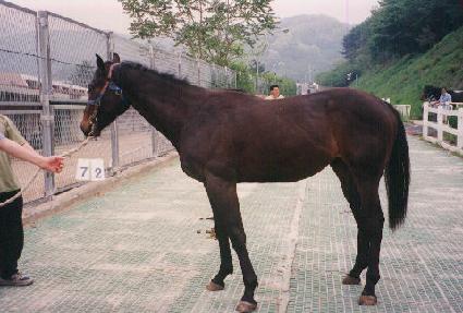 �������� ����