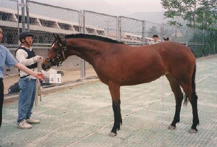 ��ǹ��� ����