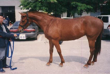 �ָ��� ����