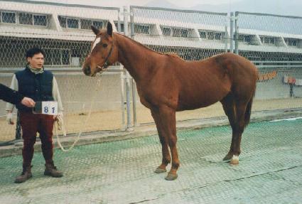 �Ŀ��� ����