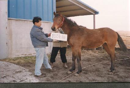 ��ǻ� ����