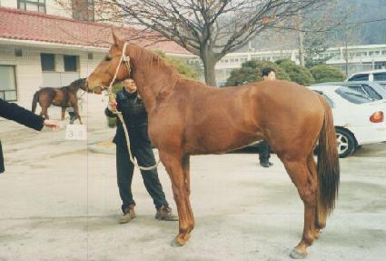 ���� ����